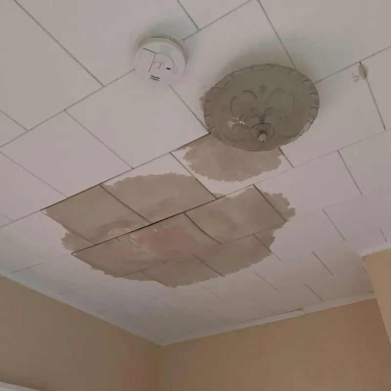 Ceiling Water Damage Repair in Toulon, IL