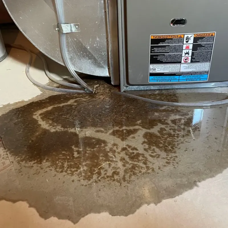 Pipe Burst and Leak Restoration in Toulon, IL