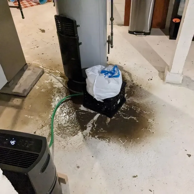 Sewage Backup Cleanup Service in Toulon, IL